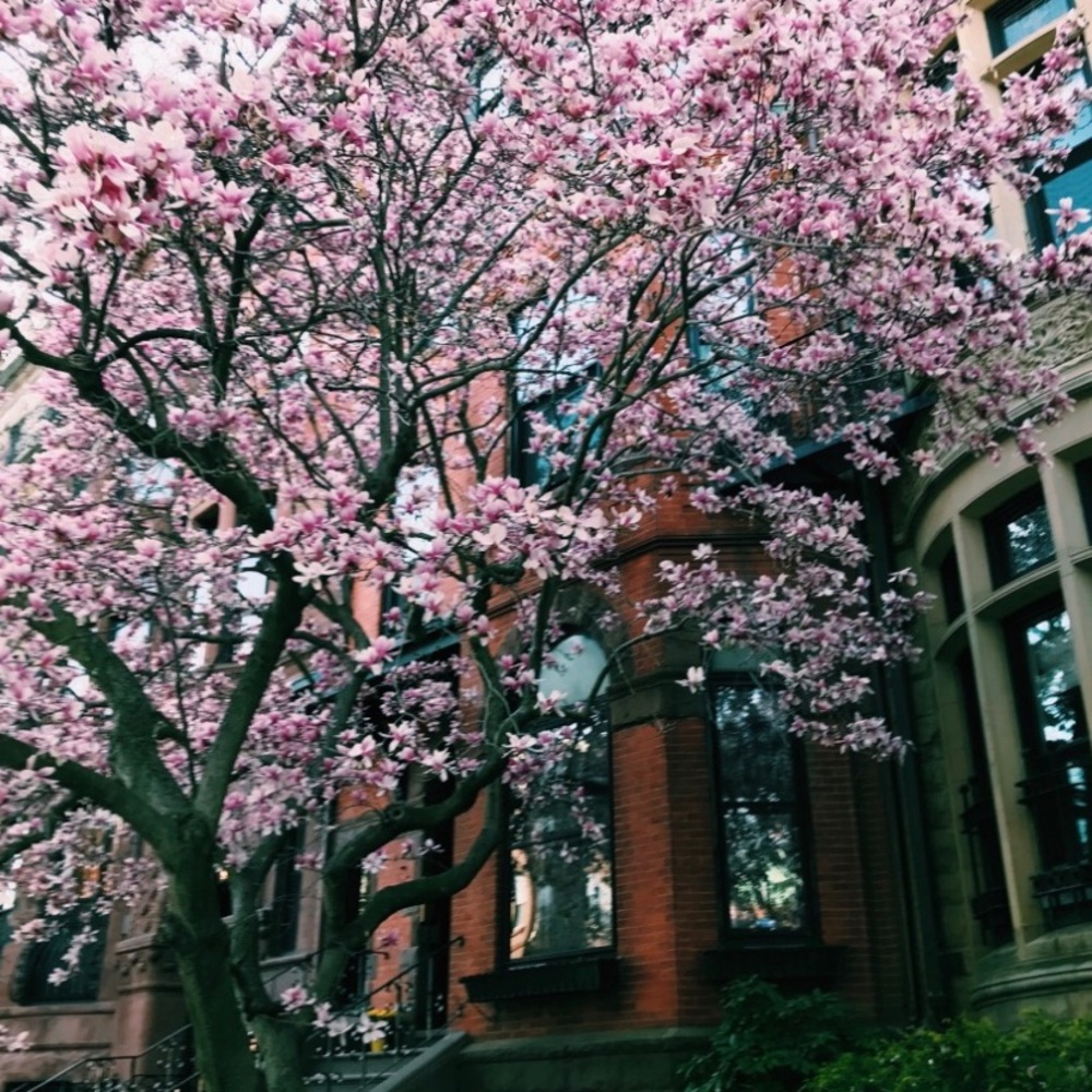 Meet your Posher, Lily